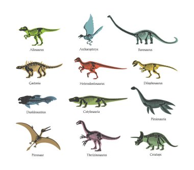 İskeletler Antik Tarih öncesi yırtıcı Dinozorların. Vahşi hayvan dinozorlar siluetleri kemik.