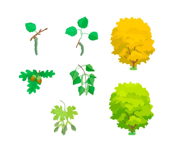 Eco hojas de árboles: roble, arce, álamo, abedul, arbustos . — Archivo Imágenes Vectoriales