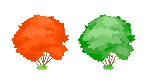 Dessin animé arbres colorés. Mignonnes plantes ligneuses, vertes, érable jaune . — Image vectorielle