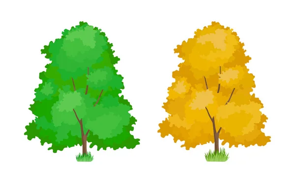 Çizgi film renkli ağaçlar. Şirin odunsu bitkiler, yeşil, sarı kavak ağaçları. — Stok Vektör