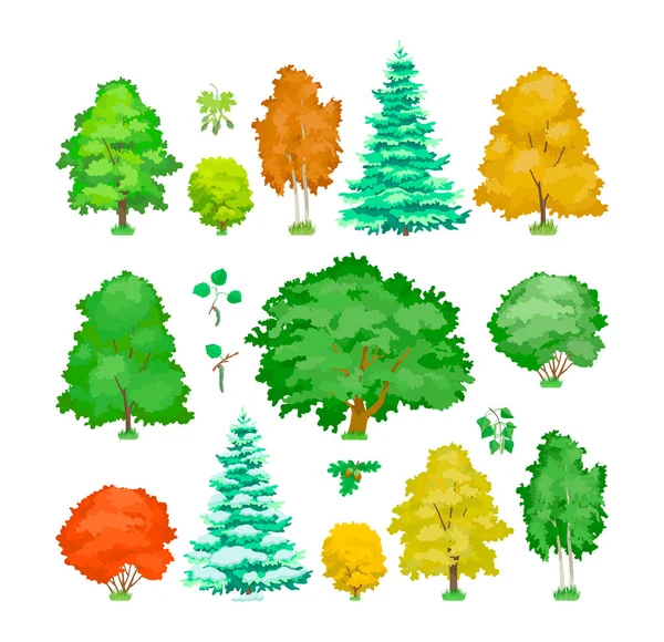 Cute woody plants, eco aspen, maple, oak, birch, spruce trees. — Stock Vector