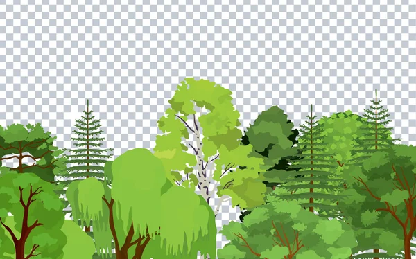Nádherná rostlinná ozdobná ozdoba, barevná pohlednice, barevné letní stromky. — Stockový vektor