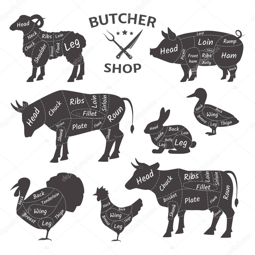 Butcher shop. Cute, funny pets, animals. Agricultural meat farmers market.