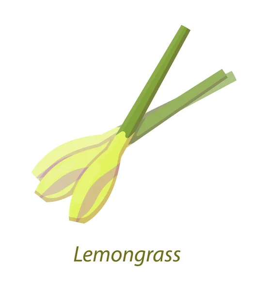 Lemongrass stalk stem plant white isolated vector — Stock Vector
