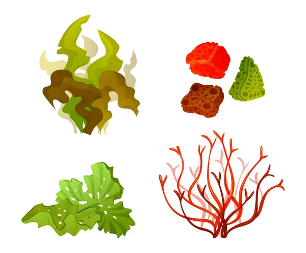 Korallen Algen Unterwasser Meeresflora Silhouette Vektor Set Illustration — Stockvektor