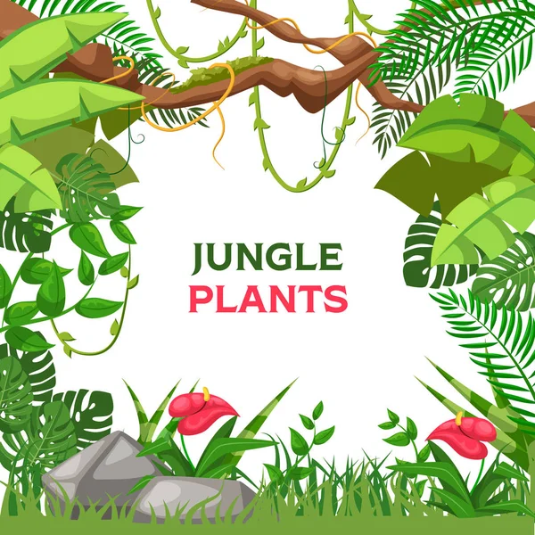 Τροπικό φόντο καλοκαίρι με φυτά ζούγκλα διάνυσμα — Διανυσματικό Αρχείο
