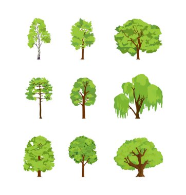 Cartoon trees differents birch poplar elm chestnut willow maple linden. clipart