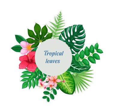 Tropikal çiçekler ve yaprak toplama vektörü izole