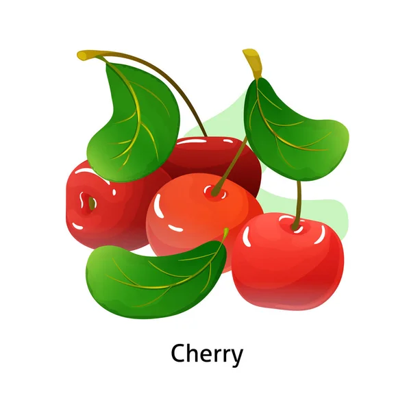 Cherry berries with leaf on white background. — Stock Vector