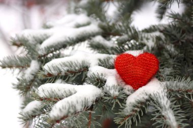 Kırmızı örülmüş kalp, kardaki romantik aşkın sembolü ladin dalında, Sevgililer Günü konsepti.