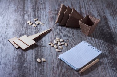 Kabak tohumu, fidanlar için isim levhası, tahtadan bir yüzeyde fidanlar için turba kapları..