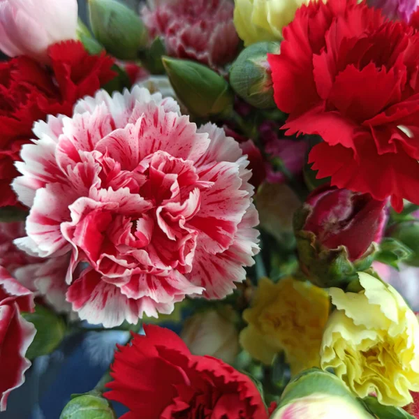 Anneler Günü, 8 Mart, doğum günü için bir demet çok renkli karanfil..