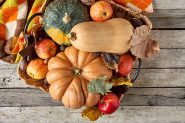 Kutlama dekorasyonu için balkabağı, elma ve ekoseli tahta tahtaların üzerinde kırsal düzlükler. Şükran Günü kartpostalı. Mutlu cadılar bayramı.