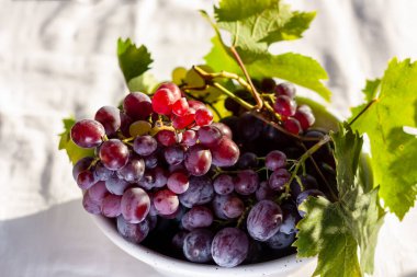 Olgun pembe üzümler beyaz bir kasede beyaz bir masada güneşli bir günde bahçede. Seçici odak