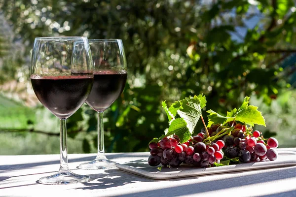 Zwei Weingläser mit Rotwein und reifen rosa Trauben auf weißem Tisch im Garten am sonnigen Tag. — Stockfoto