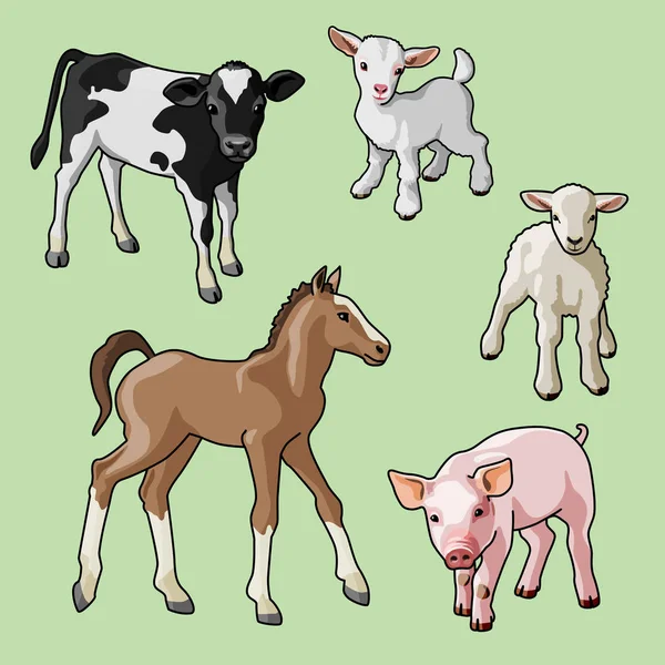 Farm animals. Cubs. — Stock Vector