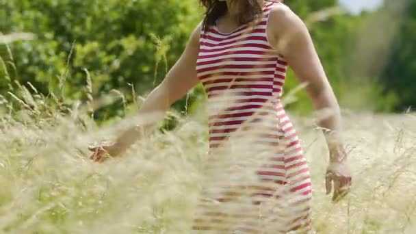 Berührung Der Feldfrüchte Mit Der Hand Herbst Junge Frau Spürt — Stockvideo