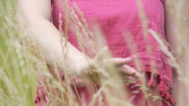 Жінка Простій Сукні Пестить Пшеничні Житні Вуха Жінка Торкається Врожаю — стокове відео