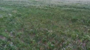 Beyaz elbise hava atış ağır çekim, yaz sevinç yaşam alanlarında çalışan kadın