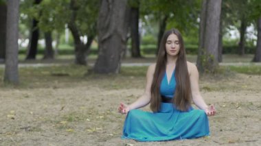 Güzel Bayan meditasyon açık havada, uzun saçlı kadın esmer Park, lotus poz