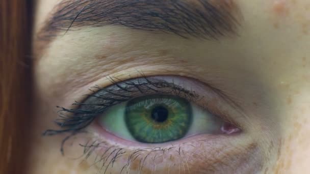 Mujer Ojo Extremo Primer Plano Hembra Con Pecas Ojos Verdes — Vídeo de stock