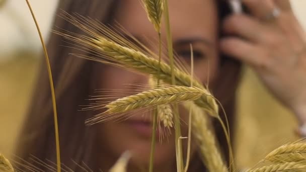 Colheita Trigo Feminina Olha Câmera Símbolo Fundo Fertilidade Saúde Mulher — Vídeo de Stock