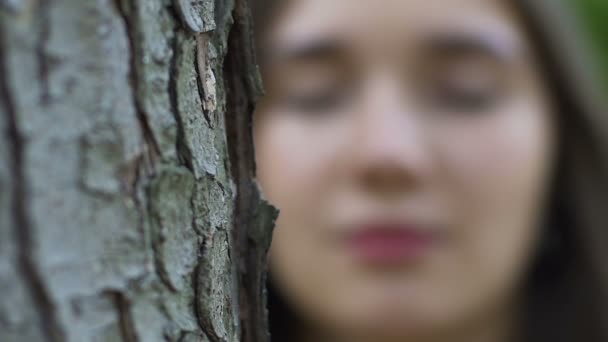 Protezione Ambientale Formiche Muovono Sull Albero Donna Sente Unità Natura — Video Stock