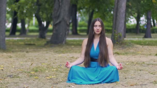 Mulher Bonita Vestido Azul Pose Lótus Meditando Parque Panela Boneca — Vídeo de Stock