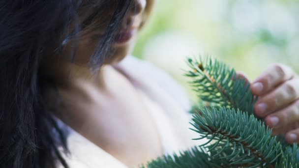 暗い髪の女性は 優しく自然 植物研究と恋の松の枝を愛撫します — ストック動画