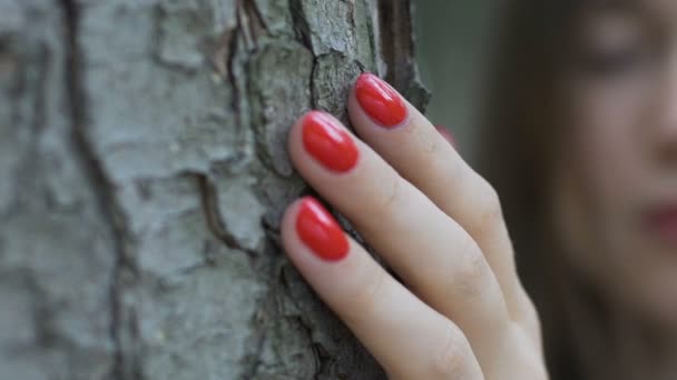 Mulher Bonita Apaixonada Pela Natureza Ouve Uma Árvore Mão Toque — Vídeo de Stock