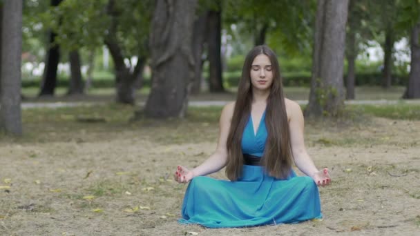 在公园沉思的女人 美丽的长发女性内心的宁静的娃娃镜头 — 图库视频影像