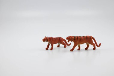 Tiger arkadaşıyla yürüyor.