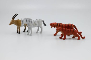 Kaplanlar vahşi doğada avlanır.