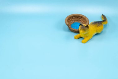 Kedi bahçede rahatlar.