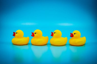 Bir grup şirin ve sevimli sarı ördek.