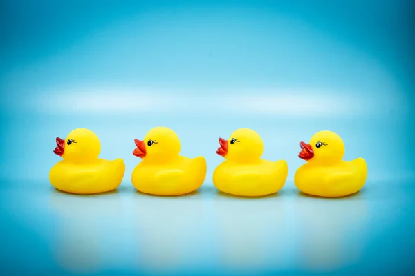 a group of cute and adorable yellow ducks