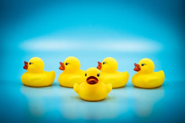 a group of cute and adorable yellow ducks