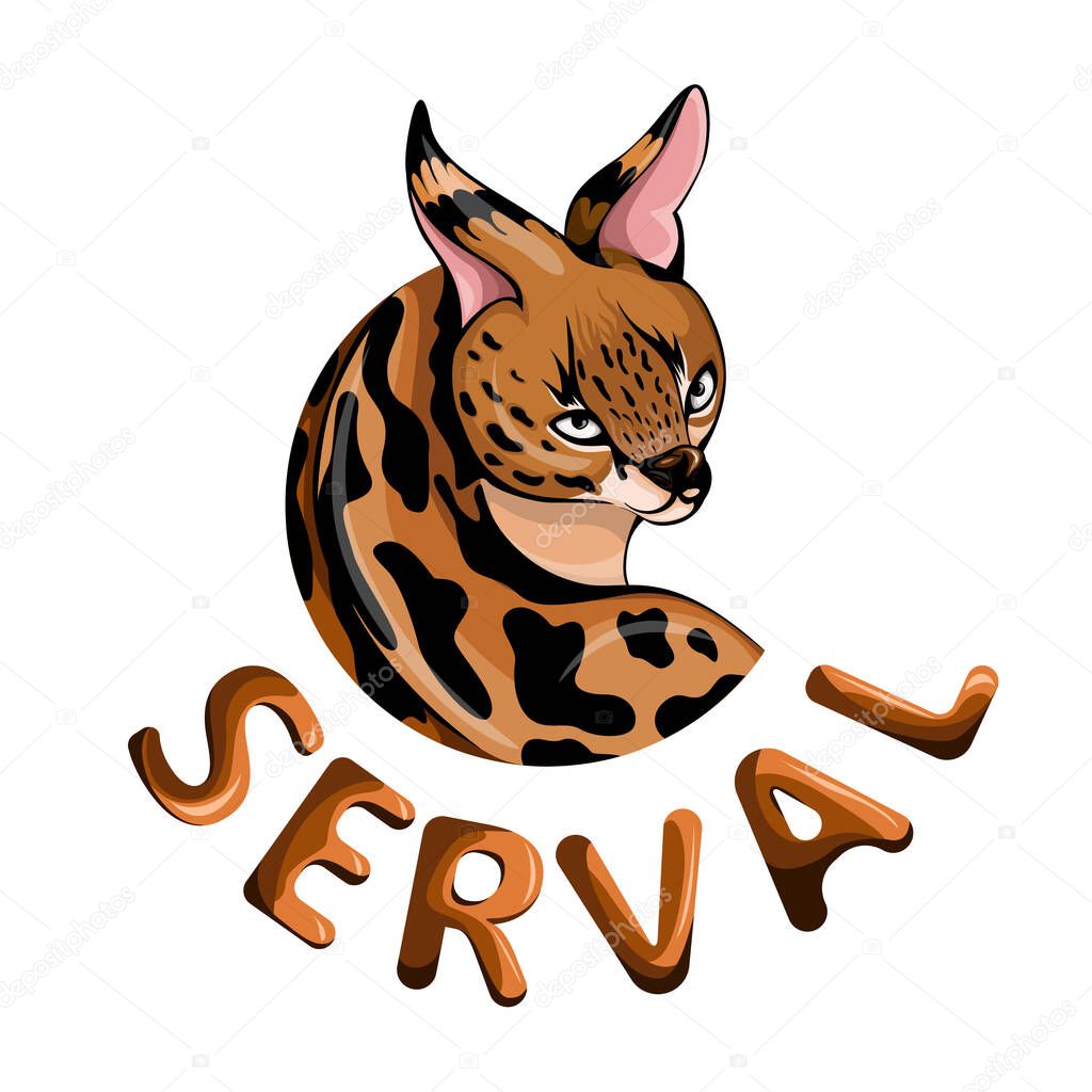 Vector image of a serval inscribed in a circle in the form of an emblem on a white background with the inscription