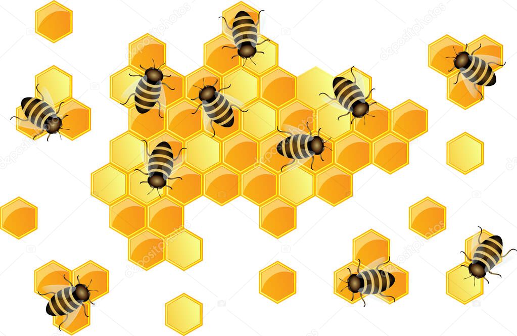 Vector image of bee honeycombs and bees working on them.
