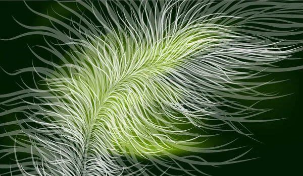 Vector Image Green Colors Transparent Feather — Stock Vector