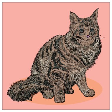 Kediler. Duvar etiketi. Grafiksel, renkli, elle çizilmiş çizim. Sanat, Hayvanlar / Vahşi Yaşam. Poster veya sanat için