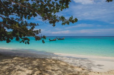 mavi deniz ve ağaç beyaz plaj