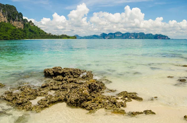 Coral Beach, Krabi, Tayland, Thailand mountian arka plan ile mercan üzerinde odaklanmak