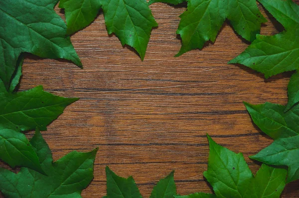 Bladeren Frame Houten Tafel Stockfoto