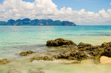 Tayland, Krabi sahilindeki mercan mercanlara odaklanır.
