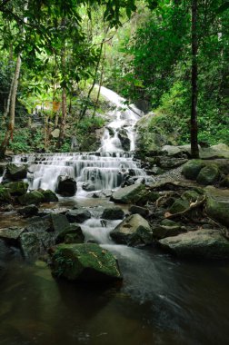 Tayland yağmur ormanlarında dikey manzaralı şelale manzarası