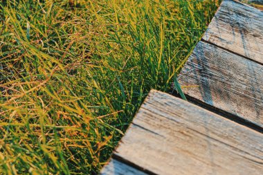 yeşil çimenler güneşte parıldıyor