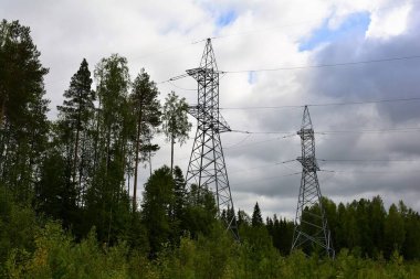 Ormanda elektrik hattı destekleniyor..
