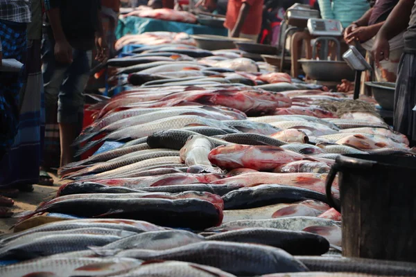 Bangladeş 'teki yerel balık pazarında balıkların görüntüsü. Alıcı ve satıcı kalabalığı