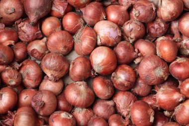 Kırmızı soğan yığınının resmini kapat